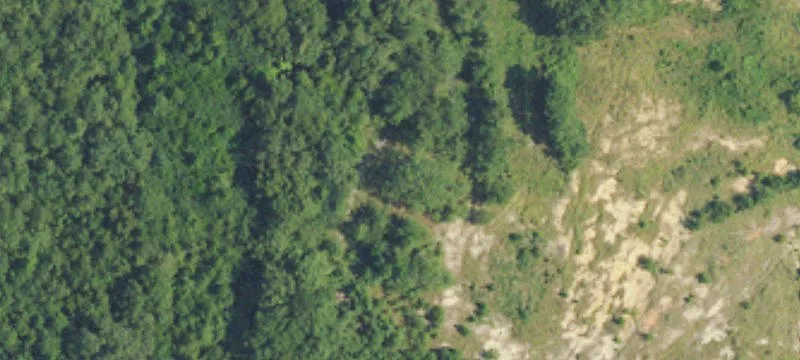20630 Hwy 31