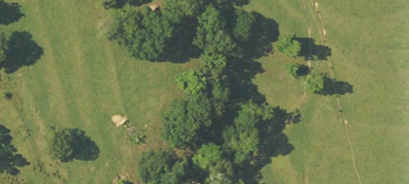 12672 Us Hwy 29