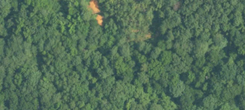 Reichhold Rd