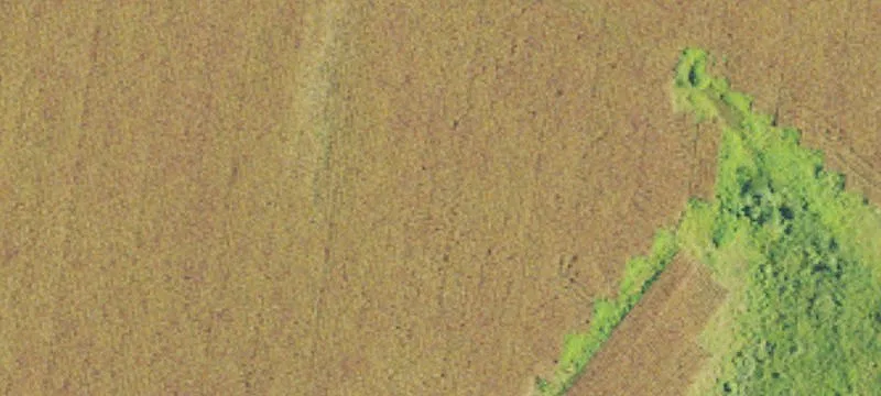Camden, AL 36726