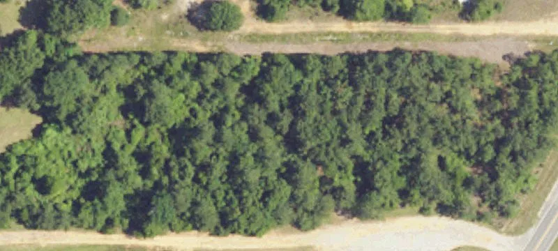 Us Hwy 31
