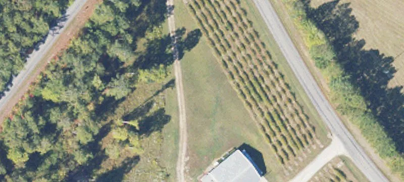 Fruithurst, AL 36262