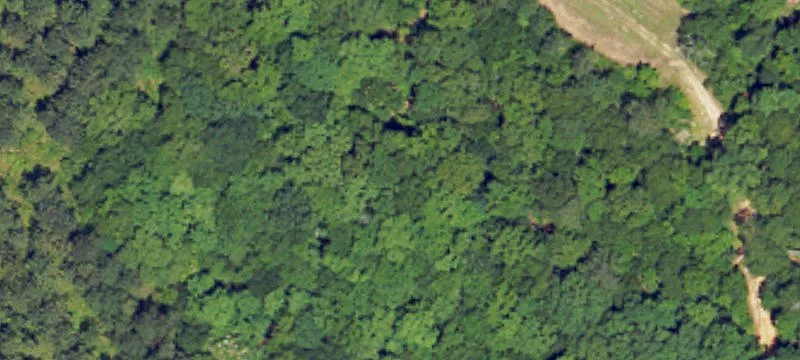 Banks, AL 36005