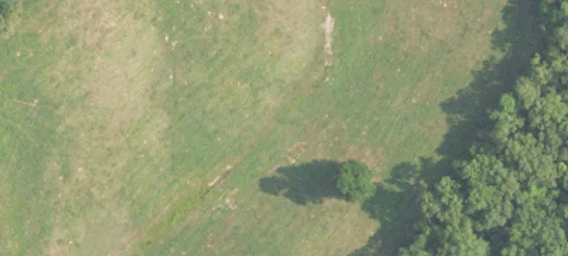 Heflin, AL 36264