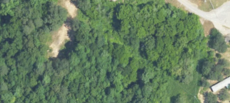 Double Springs, AL 35553