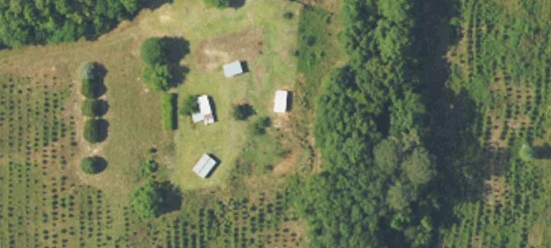 3604 County Rd 1165