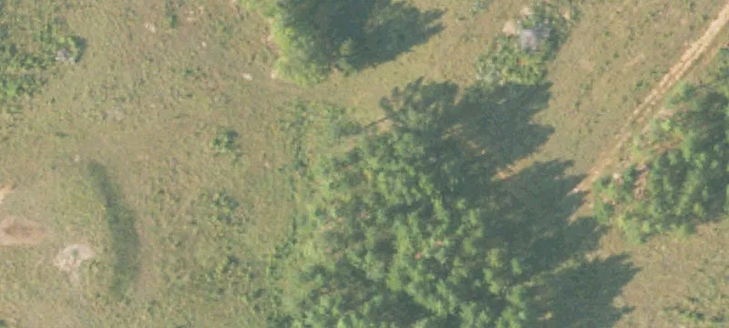 31080 Us Hwy 431