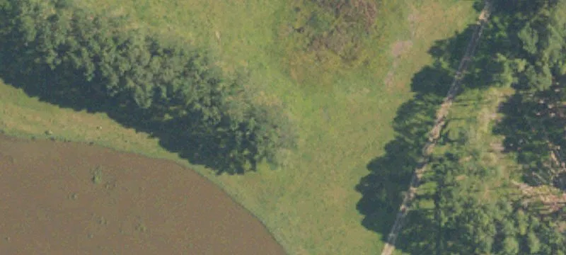 Hayneville, AL 36040