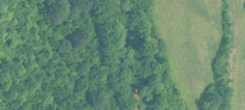 Winfield, AL 35594