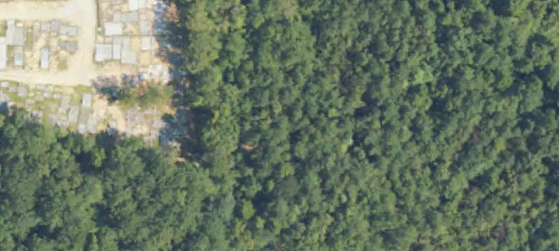 Tuskegee Institute, AL 36088