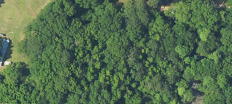 Glenwood, AL 36034