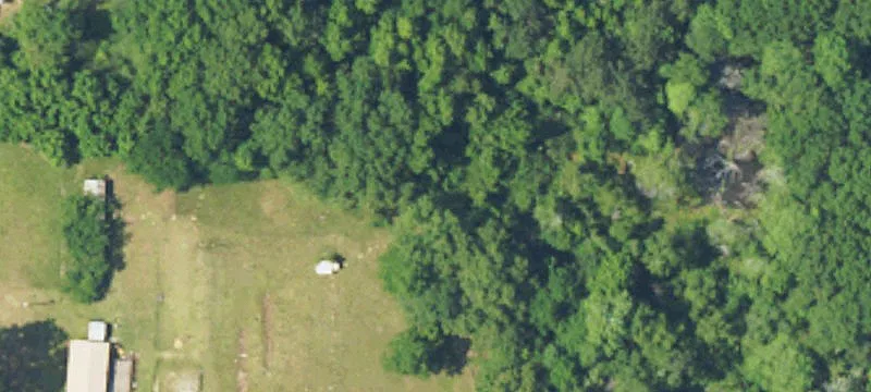 Glenwood, AL 36034