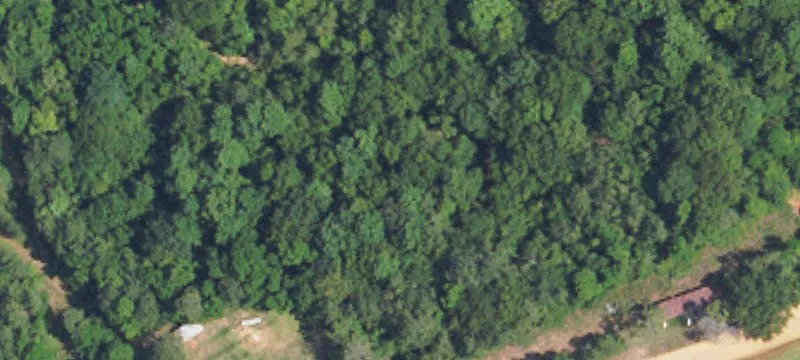 Luverne, AL 36049