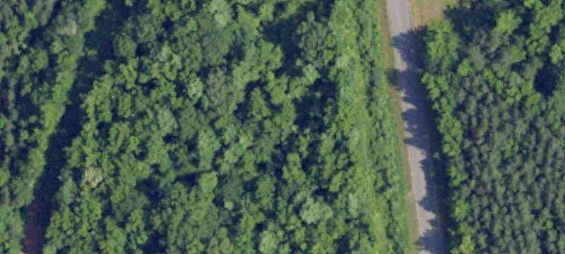 4907 County Rd 208