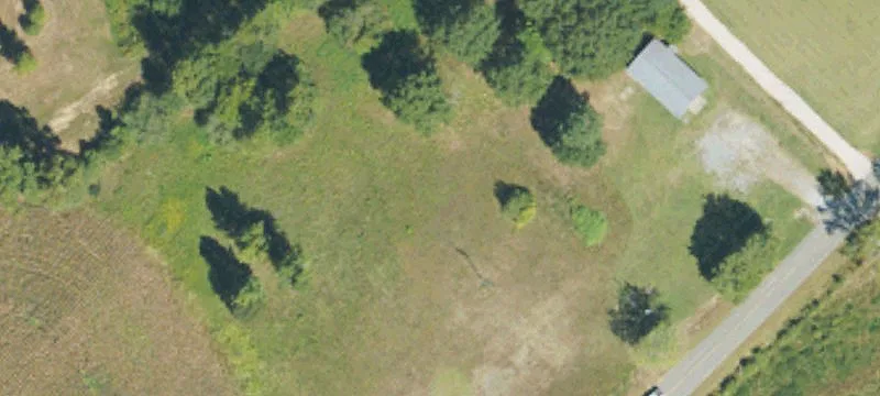Dawson, AL 35963