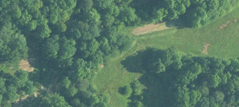 Double Springs, AL 35553