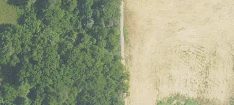 Liberty Hl Rd