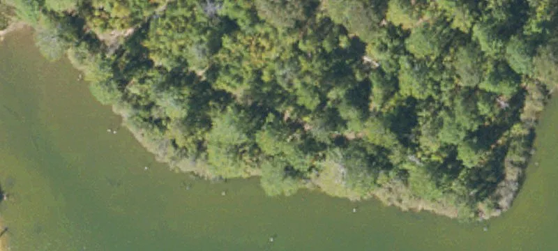 Midway, AL 36053