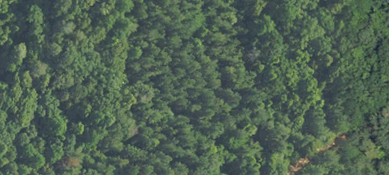 Luverne, AL 36049