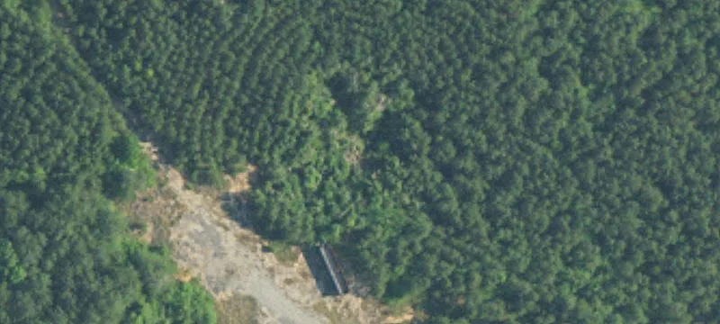 Double Springs, AL 35553