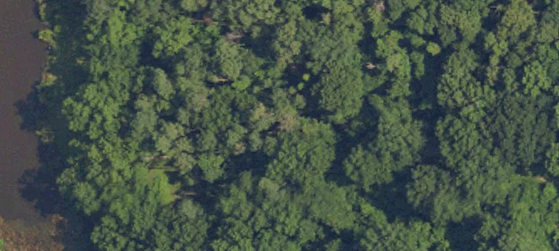 Fitzpatrick, AL 36029