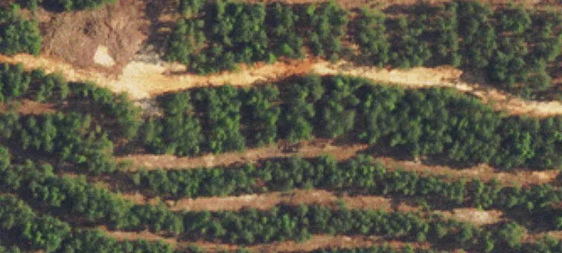 Alg County Rd 47