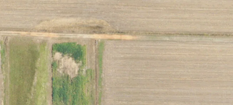 Fruitdale, AL 36539