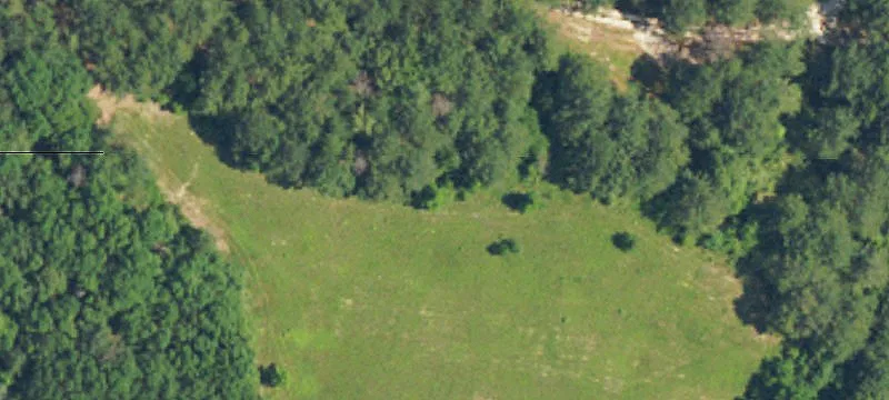 Glenwood, AL 36034