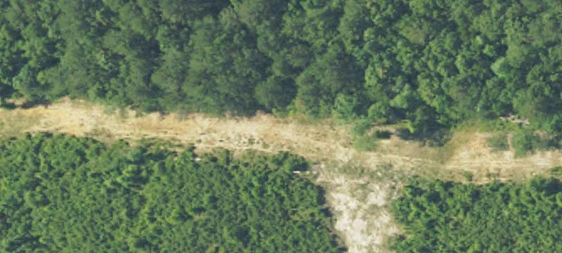 Glenwood, AL 36034