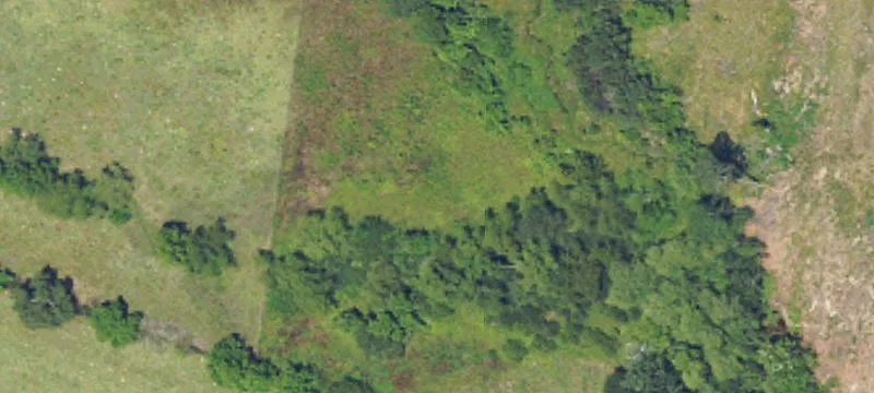Brundidge, AL 36010