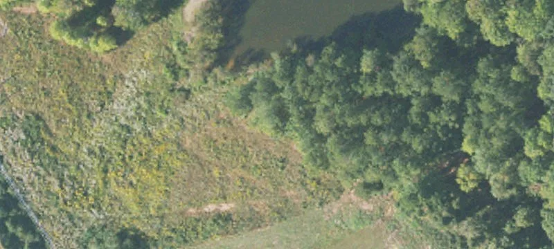 Wedowee, AL 36278