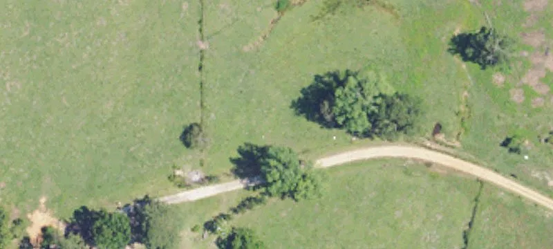 Frankville, AL 36538
