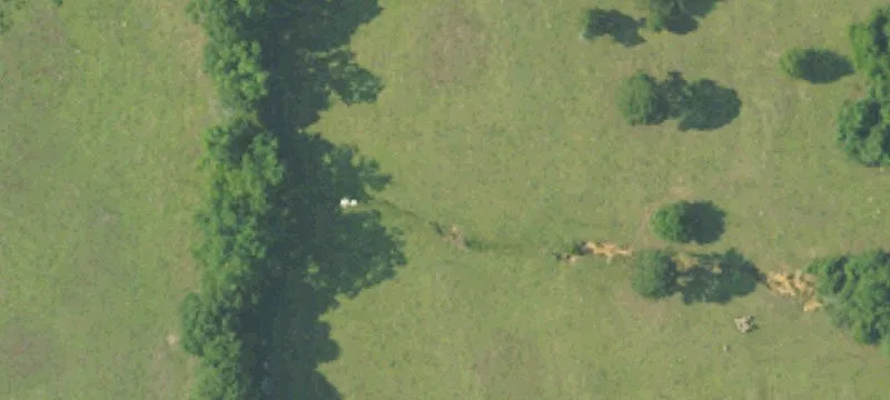 Geneva, AL 36340