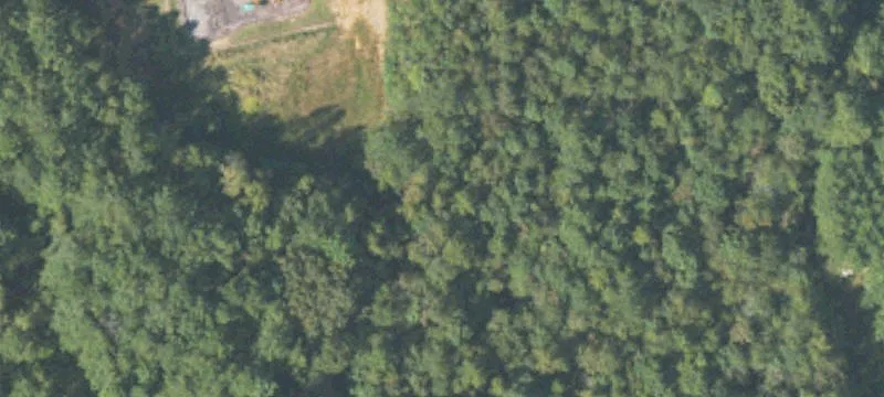 Ranburne, AL 36273