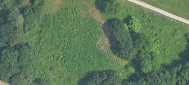 Haleyville, AL 35565