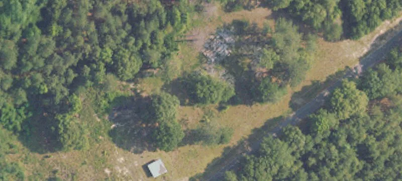Banks, AL 36005