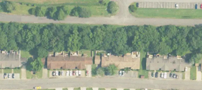 Woodland Trce