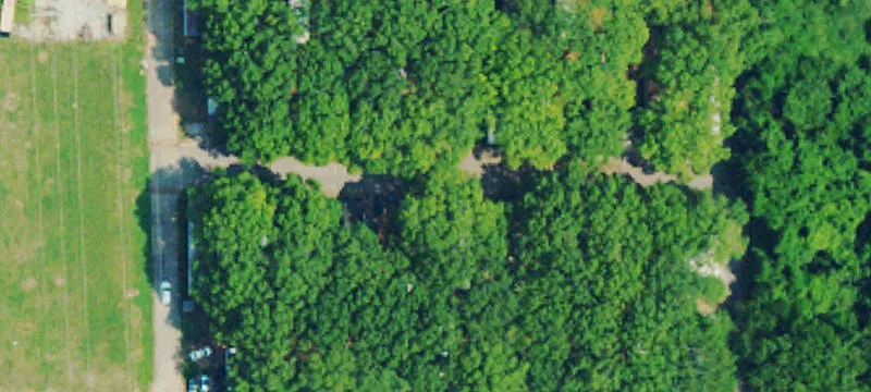Avalon Ave
