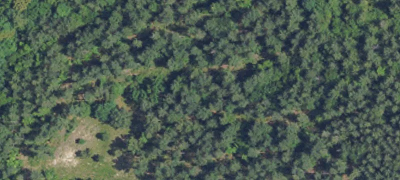 Luverne, AL 36049