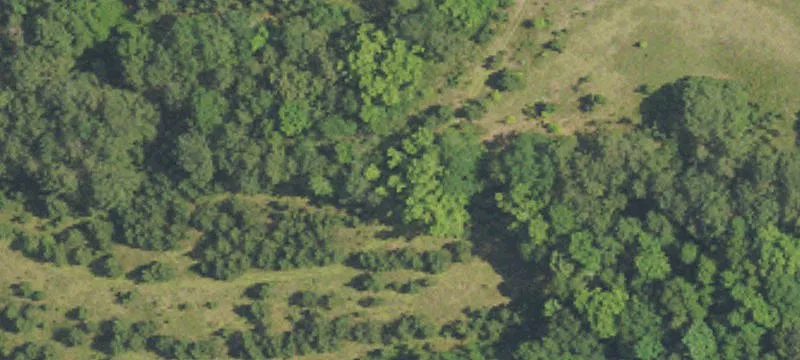 Andalusia, AL 36421
