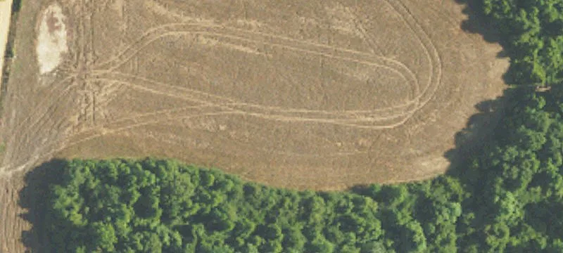 Dozier, AL 36028