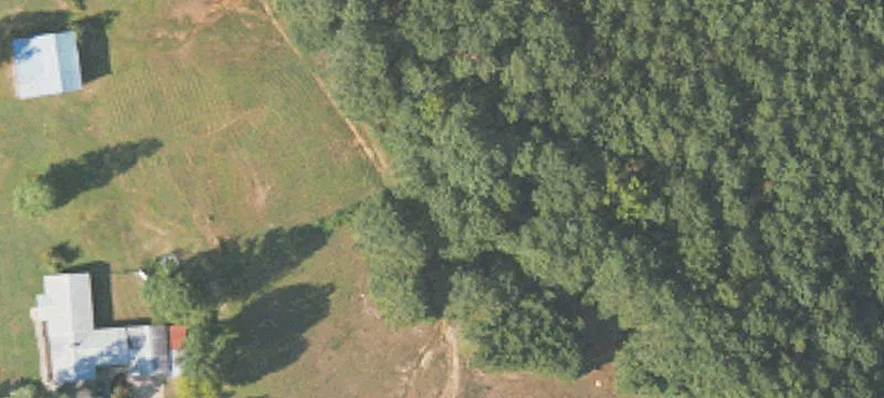 Woodland, AL 36280