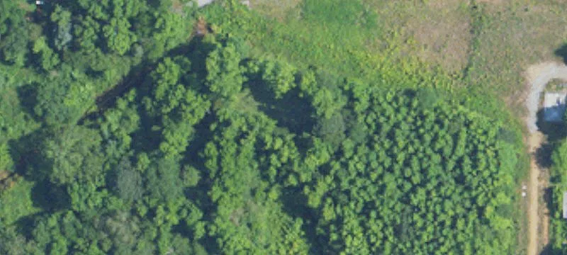 Schaeffel Rd