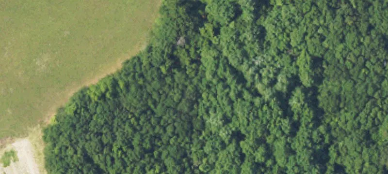 477 County Rd 1165