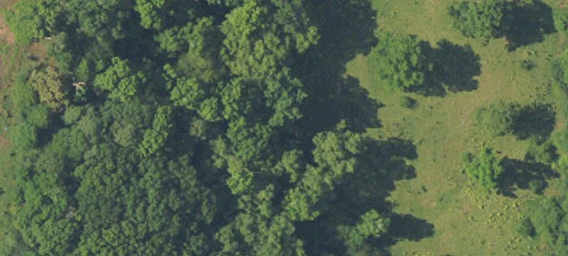 Si Us 29