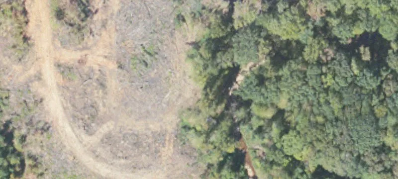 77 Alabama Hwy