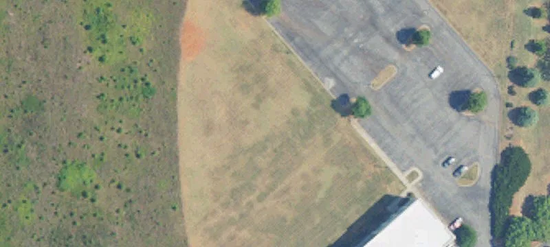 Jan Davis Dr