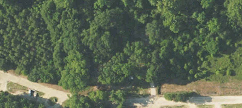 Brundidge, AL 36010