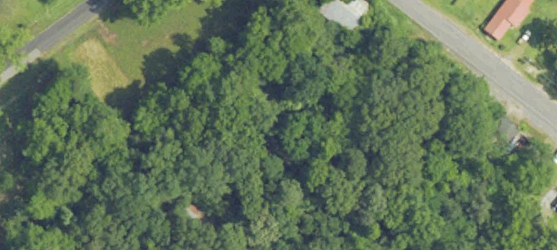 Forkland, AL 36740