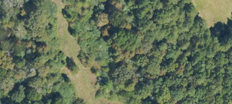 Section, AL 35771